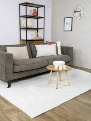 Vloerkleed Vaasa White 160x230