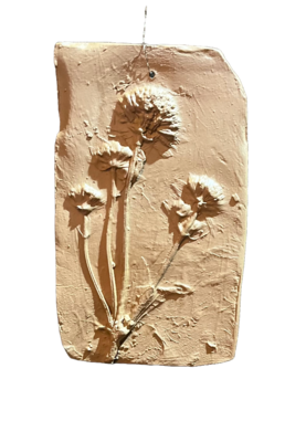 Wanddecoratie botanisch