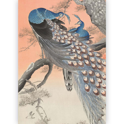 Poster Ohara Koson - Two Peacocks on a Branch