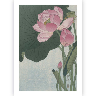 Poster Ohara Koson - Lotus Flower