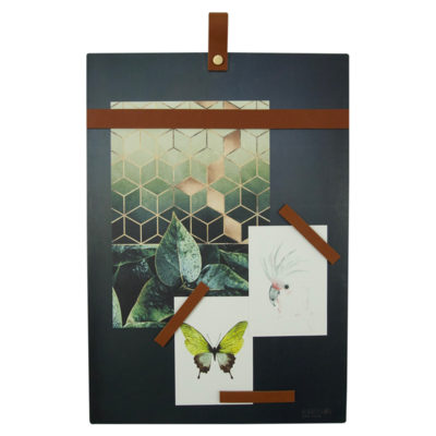 Magneetbord met magneetstrips