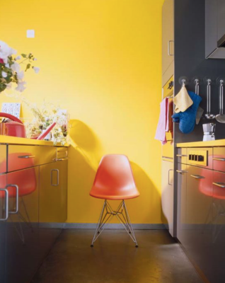 Vitra stoel Eames DSR Chroom onderstel