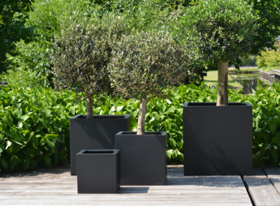 Plantenpot El Salvador black