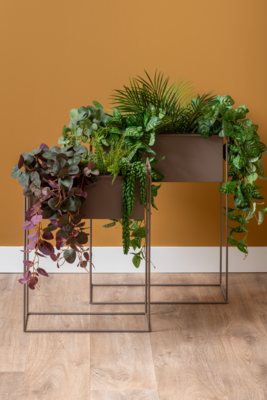 Set van 2 plantenpotten Essence - Ijzer