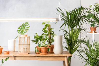 Zuiver Fajen Marble Vaas