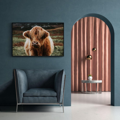 Walljar poster ingelijst - Schotse Hooglander