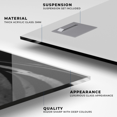 Walljar acrylglas schilderij - Mysterious Zebra