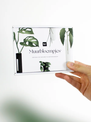 Muurbloempjes - set van 3