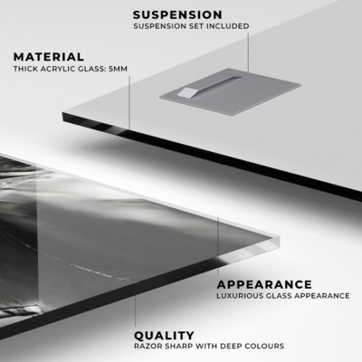 Walljar acrylglas schilderij - Dolly Parton