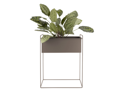 Set van 2 plantenpotten Essence - Ijzer