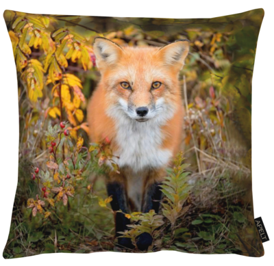 Kussen Fuchs