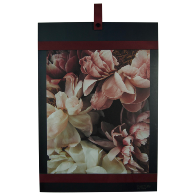 Magneetbord met magneetstrips