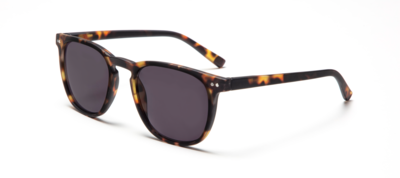 (Zonne)leesbril LL17AS The George Turtle