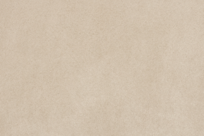 Dutchbone eetkamerstoel Darby (set van 2)