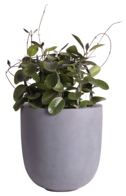 Plantenpot Ducos grey