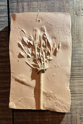 Wanddecoratie botanisch