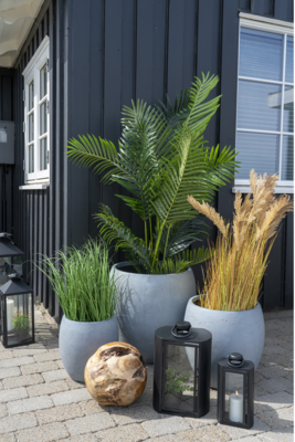 Gras kunstplant Elvira  - 68 cm