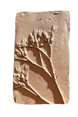 Wanddecoratie botanisch