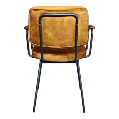 Interieurdirekt eetkamerstoel Cady