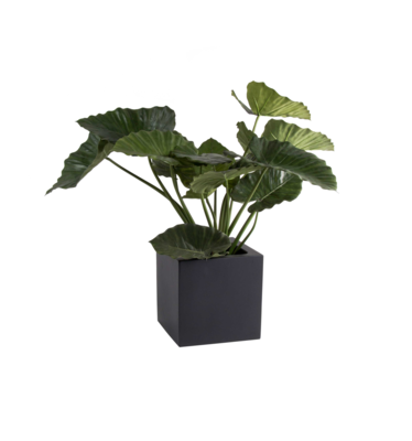 Plantenpot El Salvador black