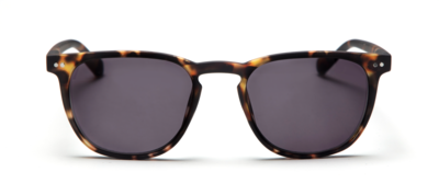 (Zonne)leesbril LL17AS The George Turtle