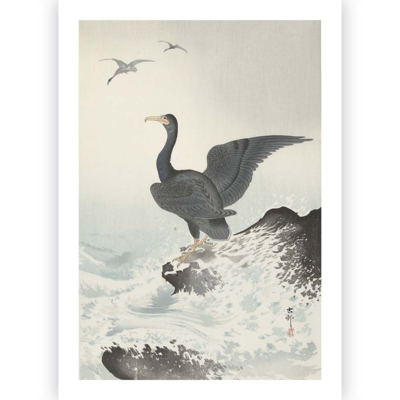 Poster Ohara Koson - Great Cormorant 