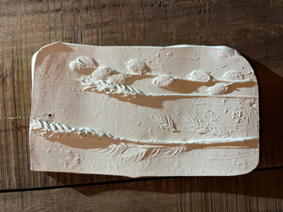 Wanddecoratie botanisch