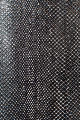 Bold Monkey kast Ava Morgana slangenleer