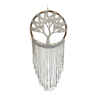 Hanger boom van het leven