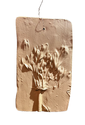 Wanddecoratie botanisch