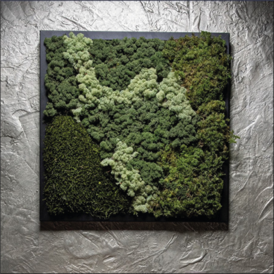 MOS Collectie schilderij met ijslandsmos