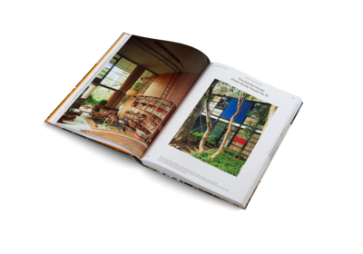 Gestalten boek Modernist Icons