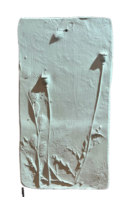 Wanddecoratie botanisch