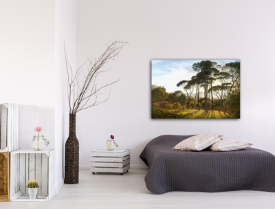 Landschap met parasoldennen - Print op plexiglas