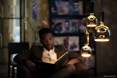 Segula LED Floating Globe 125 smokey