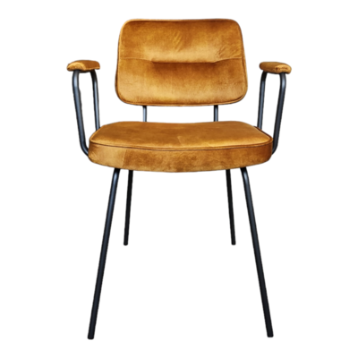 Interieurdirekt eetkamerstoel Cady