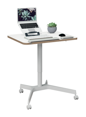 Zit-Sta Bureau Leitz Ergo