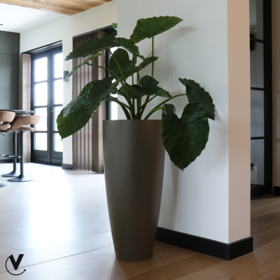 Plantenpot Kentucky taupe