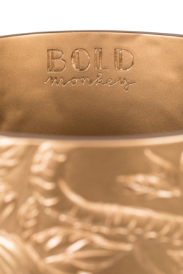 Bold Monkey vaas Songs of the night tiger