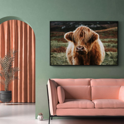 Walljar poster ingelijst - Schotse Hooglander