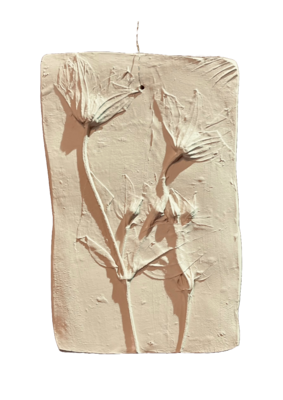 Wanddecoratie botanisch