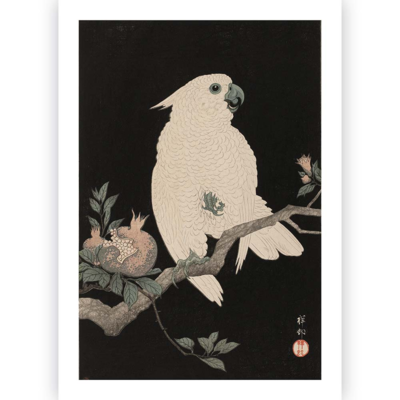 Poster - Ohara Koson - Cockatoo Pomegranate 