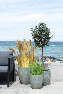 Gras kunstplant Elvira  - 68 cm