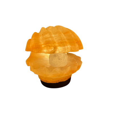 Tafellamp Schelp met parel zou