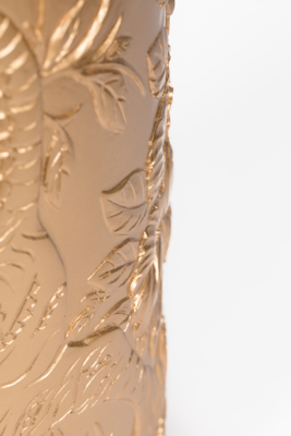 Bold Monkey vaas Songs of the night tiger