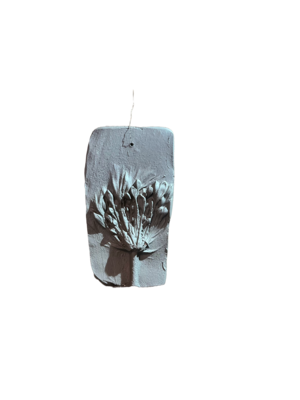 Wanddecoratie botanisch