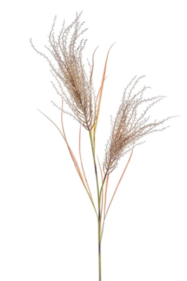 Pampasgras kunsttak 2 stuks