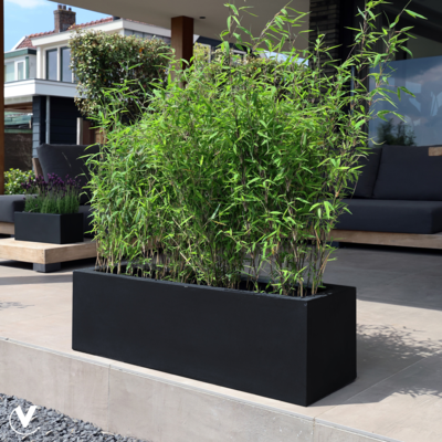 Plantenpot Amazone zwart