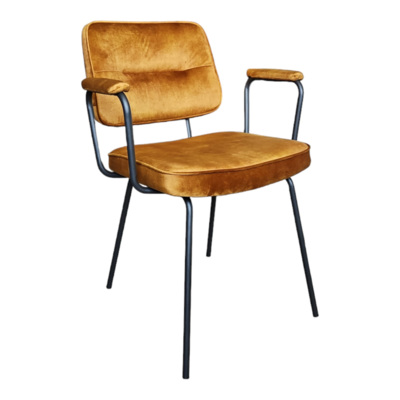 Interieurdirekt eetkamerstoel Cady