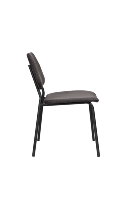 Dutchbone eetkamerstoel Darby (set van 2)